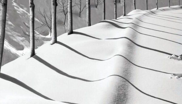 چرا عکس‌های عباس کیارستمی جهانی و پرفروش شدند؟؛ رمزگشایی از نگاه مینیمالیستی استاد