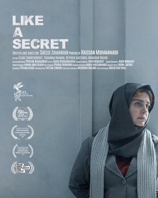 فیلم کوتاه مثل یک راز