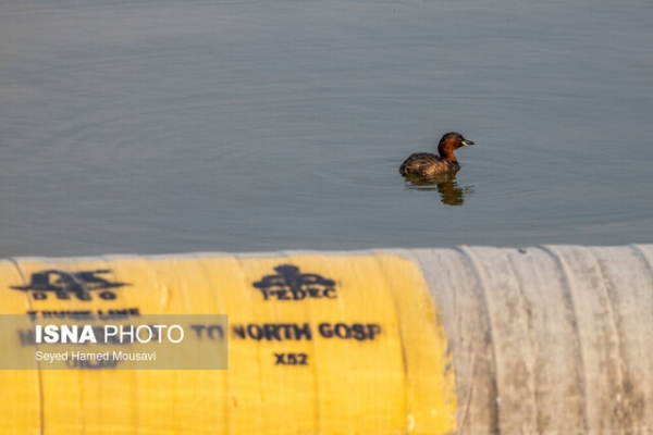 فیلم مستند فراموش شده