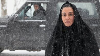 مریلا زارعی در فیلم خرس